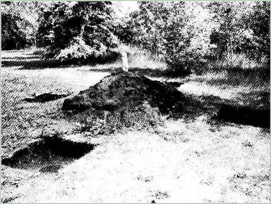 photo of pit and mound