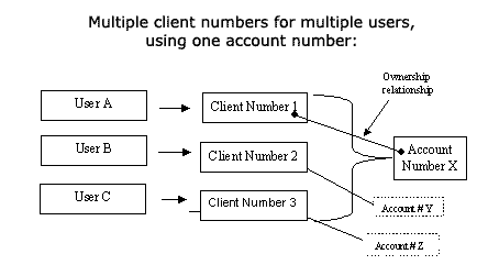 Client and Account - sample 2