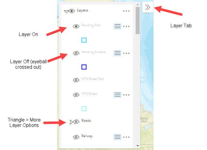 Layer Options